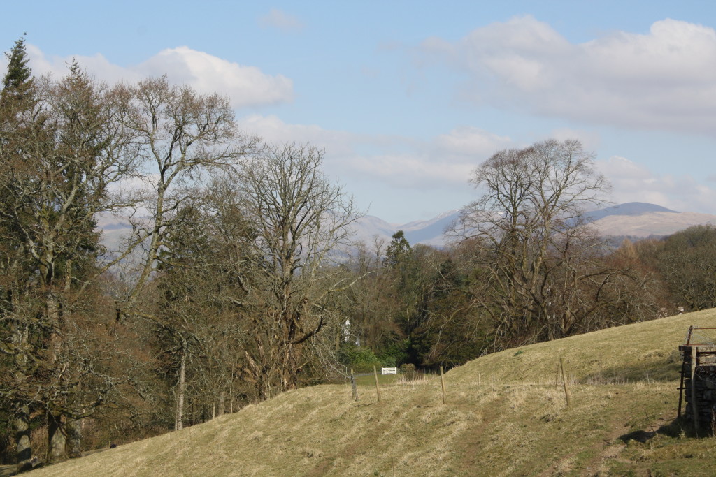 2016 03 20_Windermere_March_2016_0194